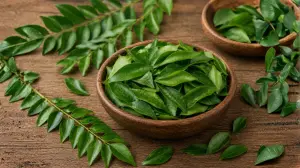 Curry Leaves: Benefits, Uses, Aroma & Why They Are Essential in Indian Cuisine