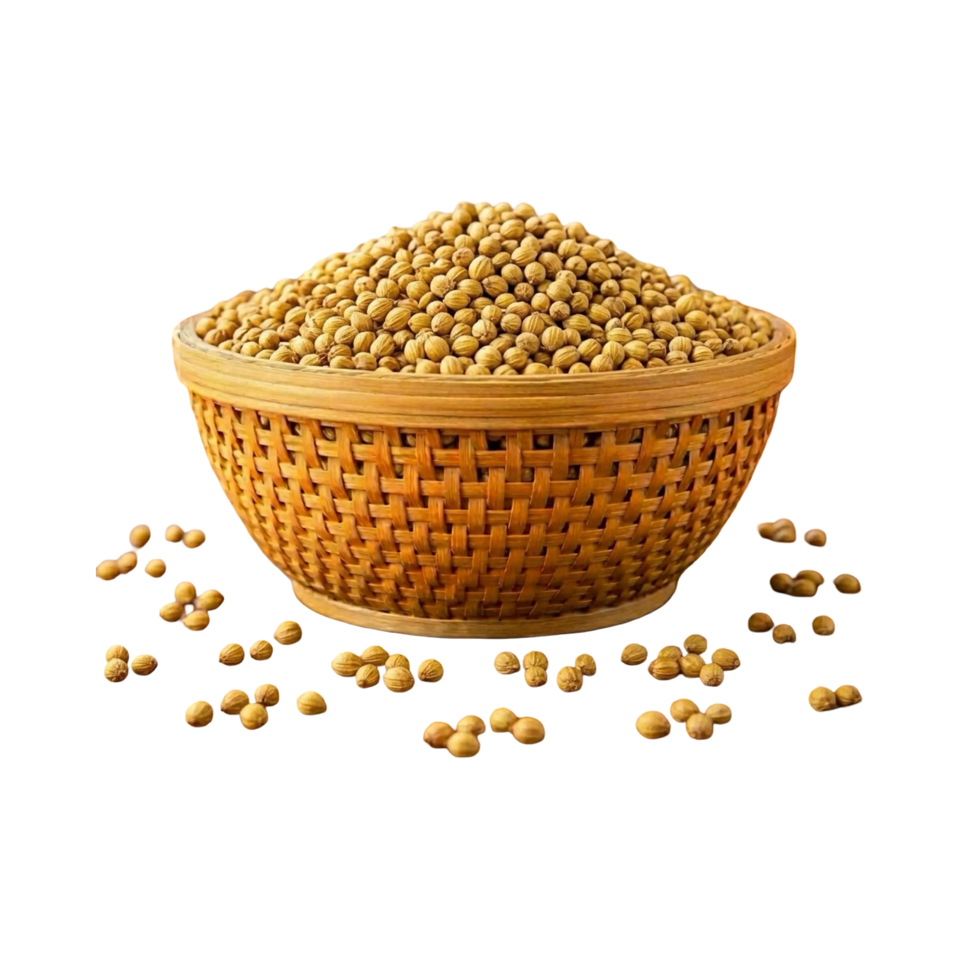 Coriander Seeds: Benefits, Uses, Cultivation & Why Coriander Is Essential in Global Cuisine